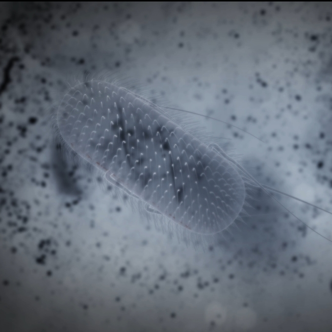 上海苏州动画设计微生物动画 自动化3D动画演示 机械模拟仿真动画演示 产品宣传动画